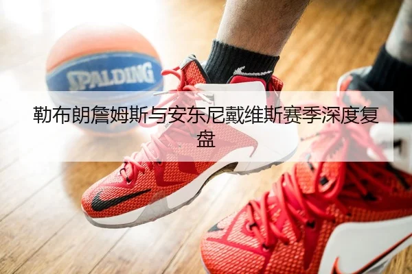 勒布朗詹姆斯与安东尼戴维斯赛季深度复盘